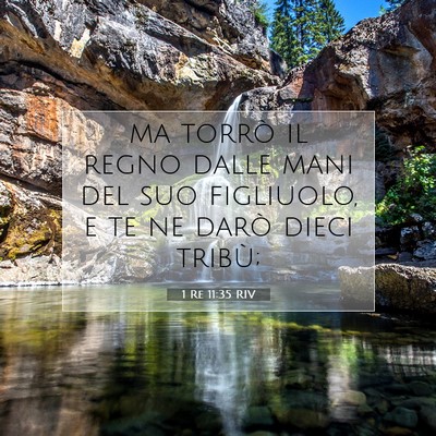 Picture 07 - 1 Re 11:35 RIV - ma torrò il regno dalle mani del suo figliuolo, - Bible Verse Picture