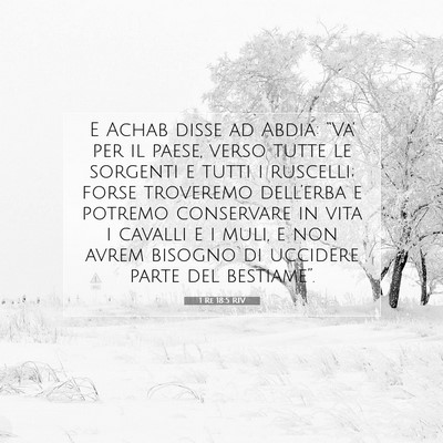 Picture 07 - 1 Re 18:5 RIV - E Achab disse ad Abdia: “Va’ per il paese, - Bible Verse Picture