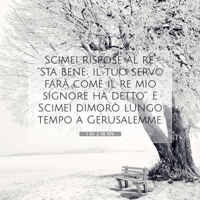 Picture 07 - 1 Re 2:38 RIV - Scimei rispose al re: “Sta bene; il tuo servo - Bible Verse Picture