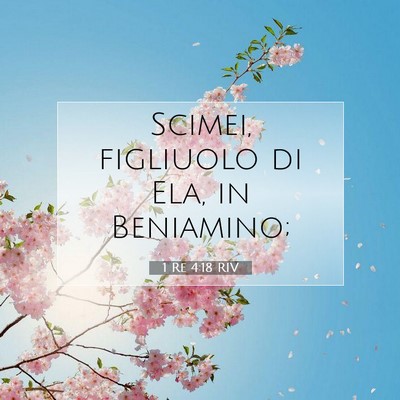 Picture 07 - 1 Re 4:18 RIV - Scimei, figliuolo di Ela, in - Bible Verse Picture
