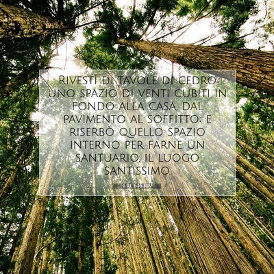 Picture 07 - 1 Re 6:16 RIV - Rivestì di tavole di cedro uno spazio di venti - Bible Verse Picture