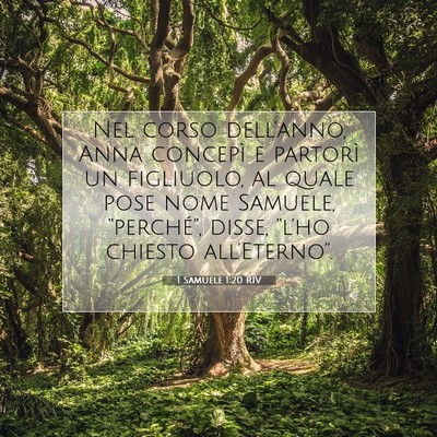 Picture 07 - 1 Samuele 1:20 RIV - Nel corso dell’anno, Anna concepì e partorì - Bible Verse Picture