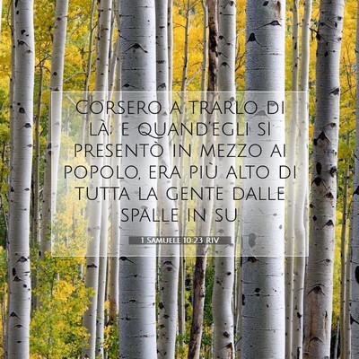 Picture 07 - 1 Samuele 10:23 RIV - Corsero a trarlo di là; e quand’egli si - Bible Verse Picture