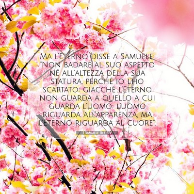 Picture 07 - 1 Samuele 16:7 RIV - Ma l’Eterno disse a Samuele: “Non badare al - Bible Verse Picture