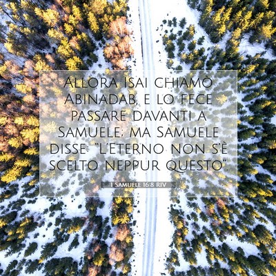 Picture 07 - 1 Samuele 16:8 RIV - Allora Isai chiamò Abinadab, e lo fece passare - Bible Verse Picture