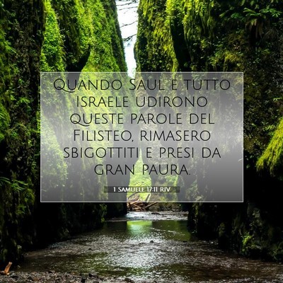Picture 07 - 1 Samuele 17:11 RIV - Quando Saul e tutto Israele udirono queste parole - Bible Verse Picture