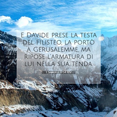 Picture 07 - 1 Samuele 17:54 RIV - E Davide prese la testa del Filisteo, la portò a - Bible Verse Picture