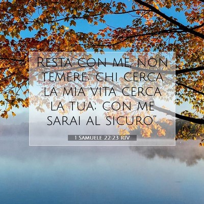 Picture 07 - 1 Samuele 22:23 RIV - Resta con me, non temere; chi cerca la mia vita - Bible Verse Picture