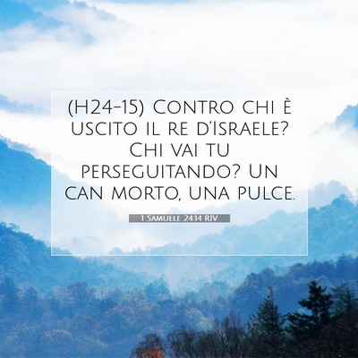 Picture 07 - 1 Samuele 24:14 RIV - (H24-15) Contro chi è uscito il re d’Israele? - Bible Verse Picture