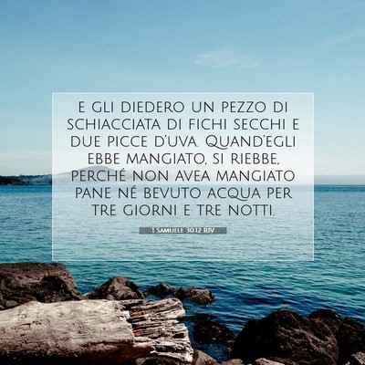 Picture 07 - 1 Samuele 30:12 RIV - e gli diedero un pezzo di schiacciata di fichi - Bible Verse Picture