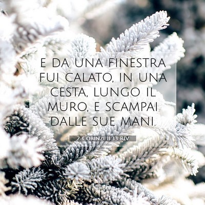Picture 07 - 2 Corinzi 11:33 RIV - e da una finestra fui calato, in una cesta, lungo - Bible Verse Picture