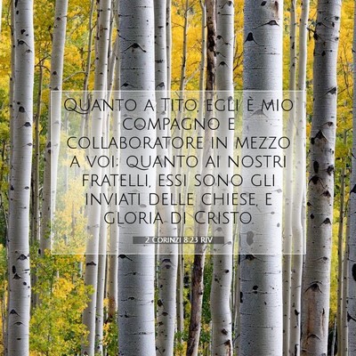 Picture 07 - 2 Corinzi 8:23 RIV - Quanto a Tito, egli è mio compagno e - Bible Verse Picture