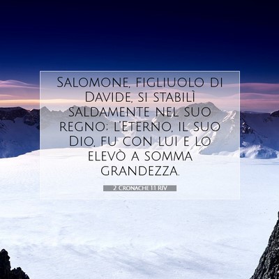 Picture 07 - 2 Cronache 1:1 RIV - Salomone, figliuolo di Davide, si stabilì - Bible Verse Picture