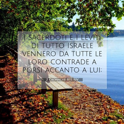Picture 07 - 2 Cronache 11:13 RIV - I sacerdoti e i Leviti di tutto Israele vennero - Bible Verse Picture