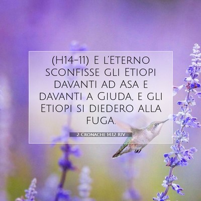 Picture 07 - 2 Cronache 14:12 RIV - (H14-11) E l’Eterno sconfisse gli Etiopi - Bible Verse Picture