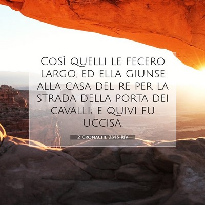 Picture 07 - 2 Cronache 23:15 RIV - Così quelli le fecero largo, ed ella giunse alla - Bible Verse Picture