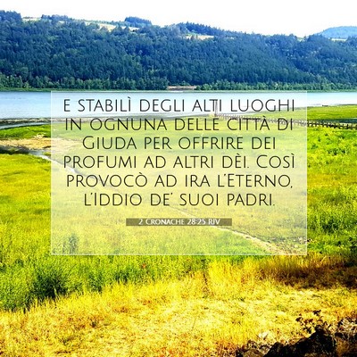 Picture 07 - 2 Cronache 28:25 RIV - e stabilì degli alti luoghi in ognuna delle - Bible Verse Picture