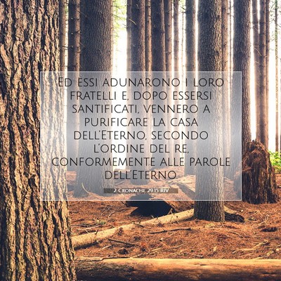 Picture 07 - 2 Cronache 29:15 RIV - Ed essi adunarono i loro fratelli e, dopo essersi - Bible Verse Picture