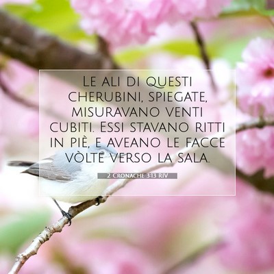 Picture 07 - 2 Cronache 3:13 RIV - Le ali di questi cherubini, spiegate, misuravano - Bible Verse Picture