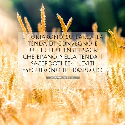 Picture 07 - 2 Cronache 5:5 RIV - e portarono su l’arca, la tenda di convegno, e - Bible Verse Picture