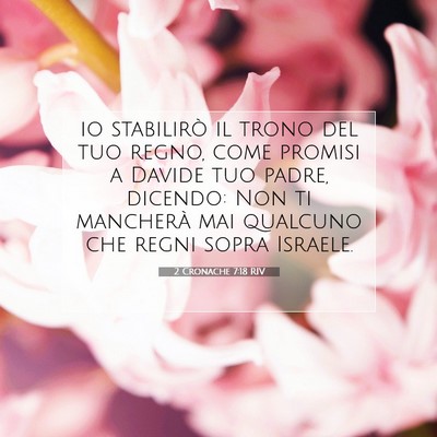 Picture 07 - 2 Cronache 7:18 RIV - io stabilirò il trono del tuo regno, come - Bible Verse Picture