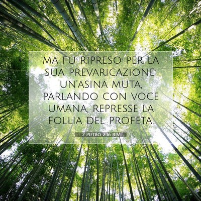Picture 07 - 2 Pietro 2:16 RIV - ma fu ripreso per la sua prevaricazione: - Bible Verse Picture