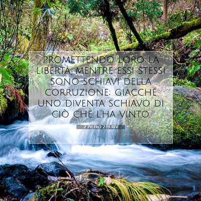 Picture 07 - 2 Pietro 2:19 RIV - promettendo loro la libertà, mentre essi stessi - Bible Verse Picture