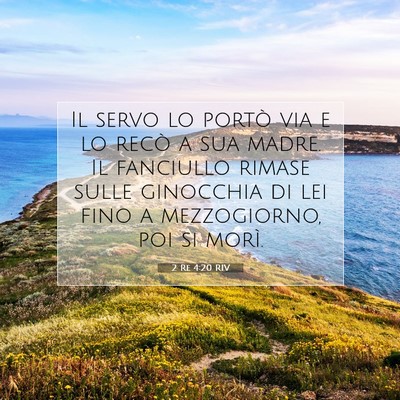Picture 07 - 2 Re 4:20 RIV - Il servo lo portò via e lo recò a sua madre. Il - Bible Verse Picture