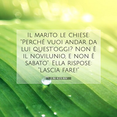 Picture 07 - 2 Re 4:23 RIV - Il marito le chiese: “Perché vuoi andar da lui - Bible Verse Picture