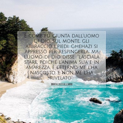 Picture 07 - 2 Re 4:27 RIV - E come fu giunta dall’uomo di Dio, sul monte, - Bible Verse Picture