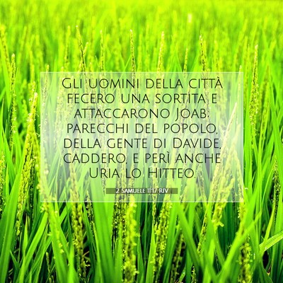 Picture 07 - 2 Samuele 11:17 RIV - Gli uomini della città fecero una sortita e - Bible Verse Picture