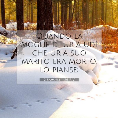 Picture 07 - 2 Samuele 11:26 RIV - Quando la moglie di Uria udì che Uria suo marito - Bible Verse Picture