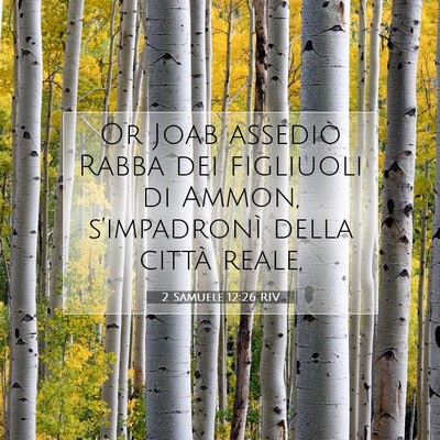 Picture 07 - 2 Samuele 12:26 RIV - Or Joab assediò Rabba dei figliuoli di Ammon, - Bible Verse Picture
