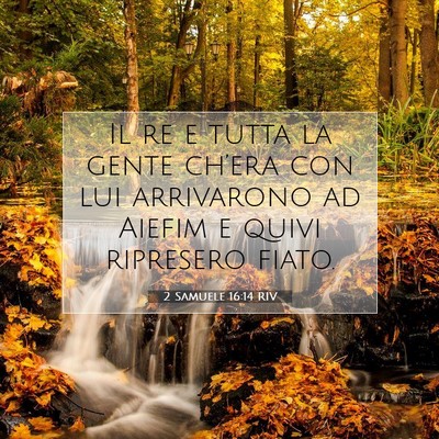 Picture 07 - 2 Samuele 16:14 RIV - Il re e tutta la gente ch’era con lui - Bible Verse Picture