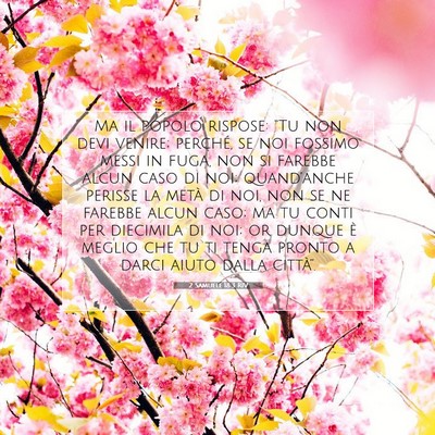 Picture 07 - 2 Samuele 18:3 RIV - Ma il popolo rispose: “Tu non devi venire; - Bible Verse Picture