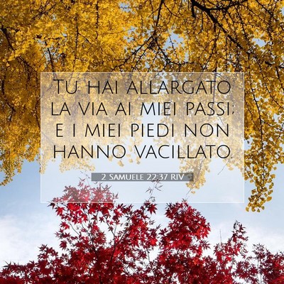 Picture 07 - 2 Samuele 22:37 RIV - Tu hai allargato la via ai miei passi; e i miei - Bible Verse Picture