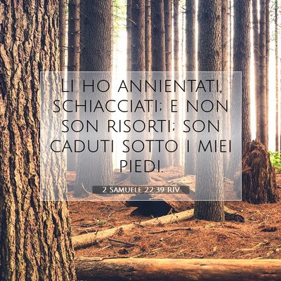Picture 07 - 2 Samuele 22:39 RIV - Li ho annientati, schiacciati; e non son risorti; - Bible Verse Picture