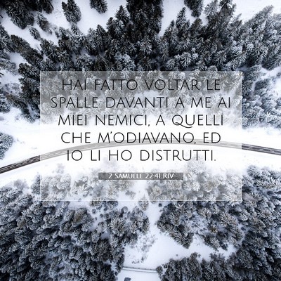 Picture 07 - 2 Samuele 22:41 RIV - hai fatto voltar le spalle davanti a me ai miei - Bible Verse Picture