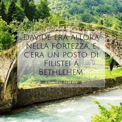 Picture 07 - 2 Samuele 23:14 RIV - Davide era allora nella fortezza, e c’era un - Bible Verse Picture