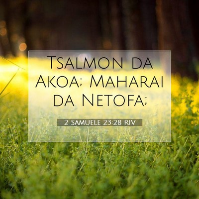 Picture 07 - 2 Samuele 23:28 RIV - Tsalmon da Akoa; Maharai da - Bible Verse Picture