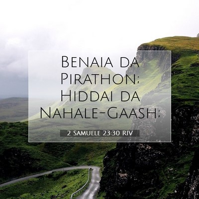 Picture 07 - 2 Samuele 23:30 RIV - Benaia da Pirathon; Hiddai da - Bible Verse Picture