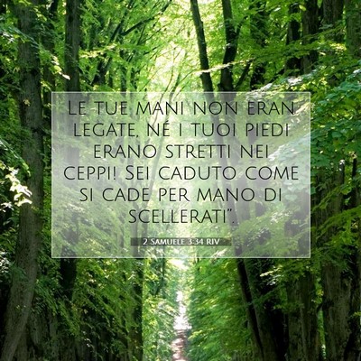 Picture 07 - 2 Samuele 3:34 RIV - Le tue mani non eran legate, né i tuoi piedi - Bible Verse Picture