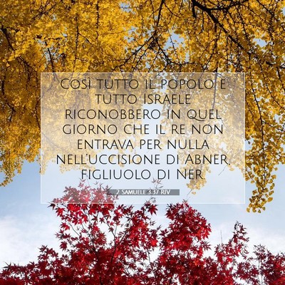 Picture 07 - 2 Samuele 3:37 RIV - Così tutto il popolo e tutto Israele riconobbero - Bible Verse Picture