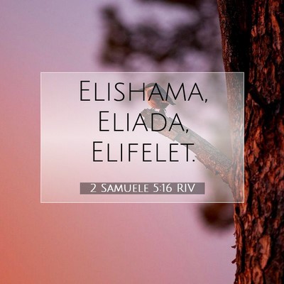 Picture 07 - 2 Samuele 5:16 RIV - Elishama, Eliada, - Bible Verse Picture