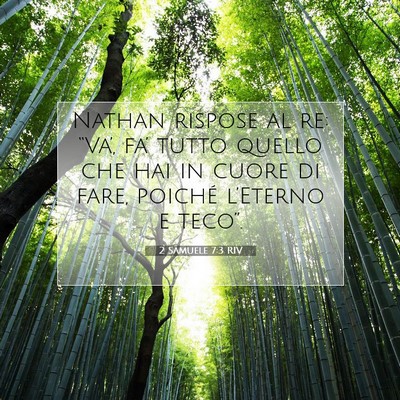 Picture 07 - 2 Samuele 7:3 RIV - Nathan rispose al re: “Va’, fa’ tutto - Bible Verse Picture
