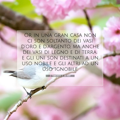 Picture 07 - 2 Timoteo 2:20 RIV - Or in una gran casa non ci son soltanto dei vasi - Bible Verse Picture