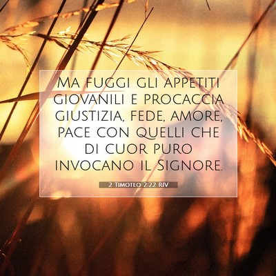 Picture 07 - 2 Timoteo 2:22 RIV - Ma fuggi gli appetiti giovanili e procaccia - Bible Verse Picture