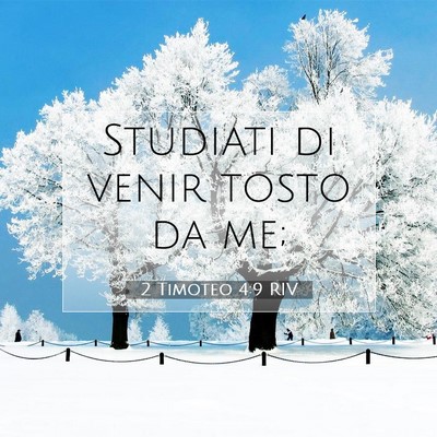 Picture 07 - 2 Timoteo 4:9 RIV - Studiati di venir tosto da - Bible Verse Picture