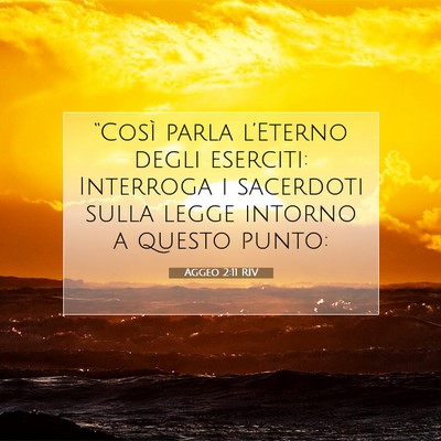 Picture 07 - Aggeo 2:11 RIV - “Così parla l’Eterno degli eserciti: - Bible Verse Picture
