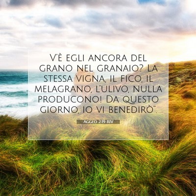 Picture 07 - Aggeo 2:19 RIV - V’è egli ancora del grano nel granaio? La - Bible Verse Picture